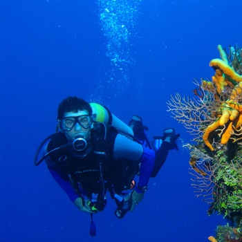 Undervandsbillede af dykker