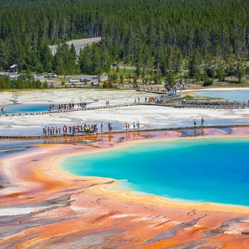 Yellowstone Nationalpark - USA