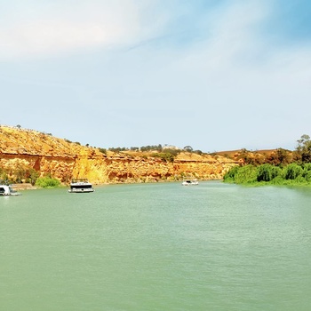 Murray River - flod tæt på Adelaide