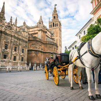 Giralda katedralen i Sevilla