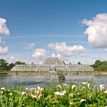 Kew Garden - botanisk have i London