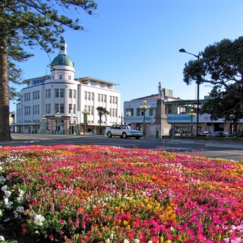 Napier