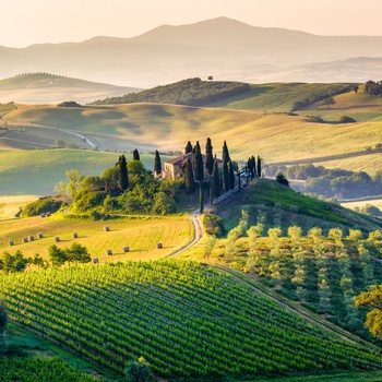 Vinområde i Toscana