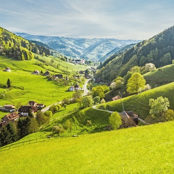 Skov- og bjergområde i Schwarzwald