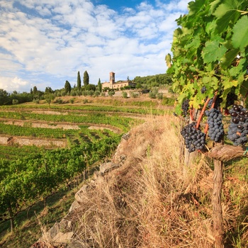 Rejs på kør-selv-ferie i Toscana