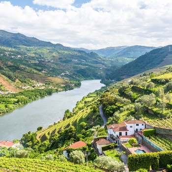 Douro floden og vinterrasser i det nordlige Portugal
