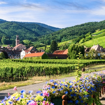 fdm travel alsace