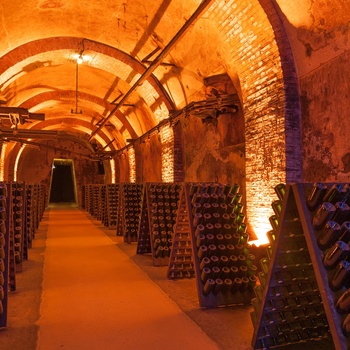 Vinkælder med Champagne flasker i byen Reims