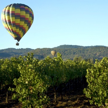 Luftballonner over skove i Brandenburg, Tyskland