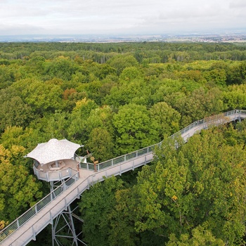 Nationalpark Hainich i Thüringen