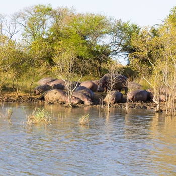 Isimangaliso Wetland Park i Sydafrika