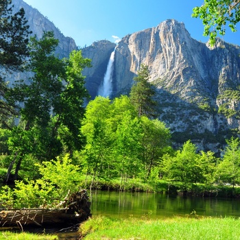 Oplev Yosemite Nationalpark på rundrejse i USA