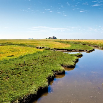 11_HI_D_Schleswig_Langeness_1.jpg
