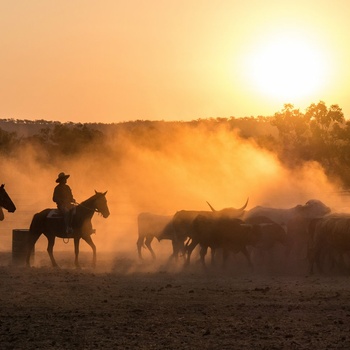 cowboys i Australien
