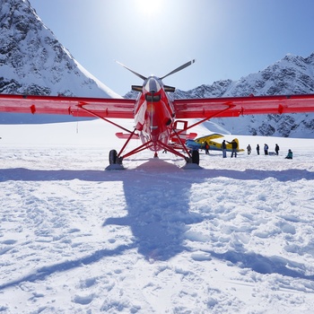 Rødt propelfly på sneen i Denali Nationalpark, Alaska