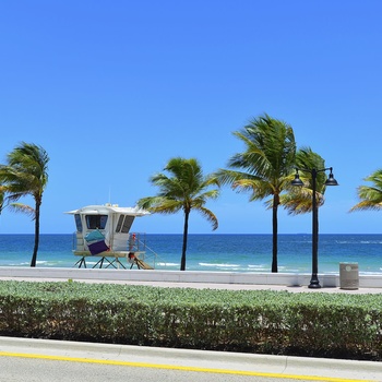 Billeje i Fort Lauderdale