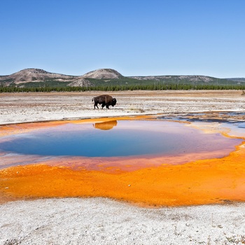 Oplev en nationalpark i USA, eks. Yellowstone, Yosemite mv.