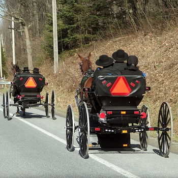Oplev Amish-folket på rundrejse i USA