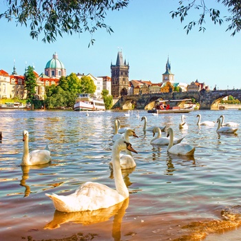 Rejs på storbyferie i Prag