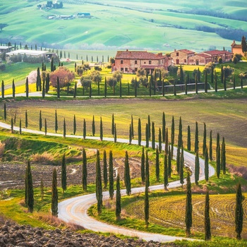 Val d'Orcia - smukt landskab med snoede veje og vinmarker i Toscana