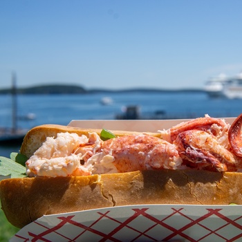 lobster roll i maine