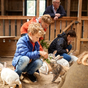 Kom tæt på dyrene i Nordens Ark Foto Jonas Ingman