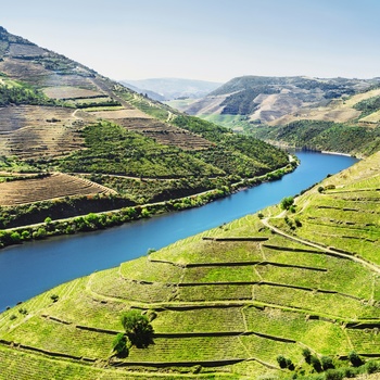 Portugal Douro floden vinmarker nær Pinhao