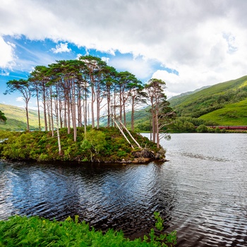 Øen Eilean na Moine i Loch Eilt - kendt fra Harry Potter