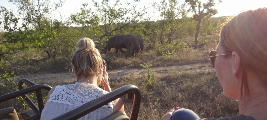 Game Drive i Sydafrika