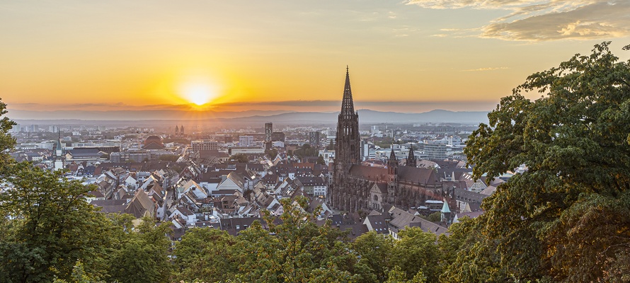 Freiburg - byliv med skovcharme © FWTM - Spiegelhalter