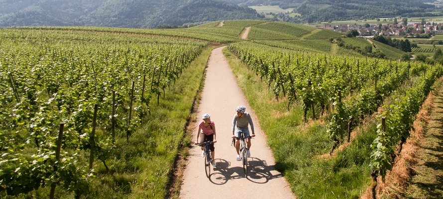 Badischer-Weinradweg © Chris Keller, Schwarzwald Tourismus.