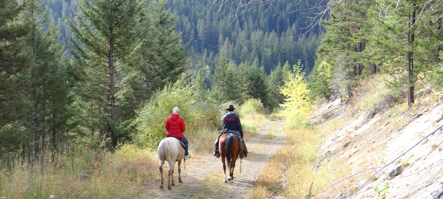 Ridetur nær Tyax Lodge i British Columbia, Canada