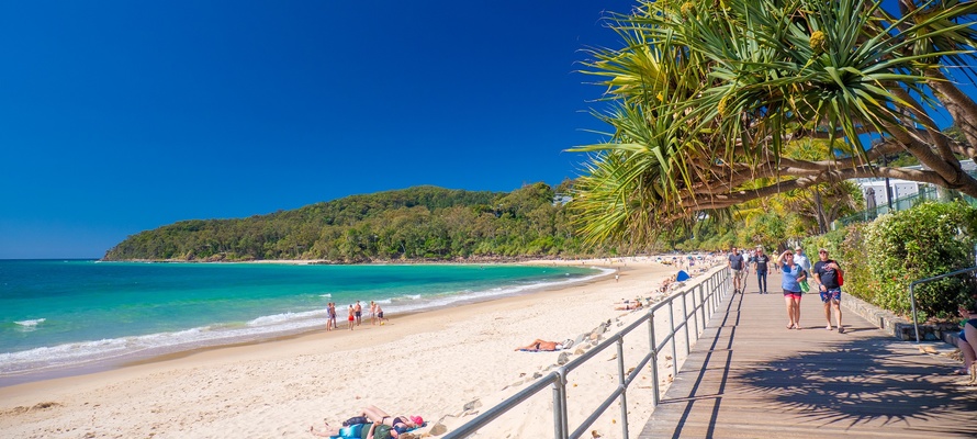 Noosa Boardwalk i Queensland