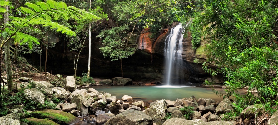 Buderim vandfaldet i Queensland, Australien