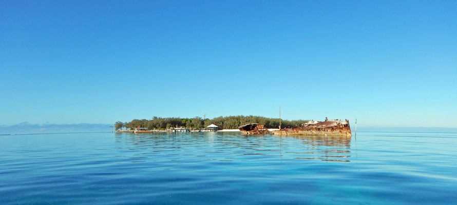 Heron Island - Great Barrier Reef - Queensland i Australien