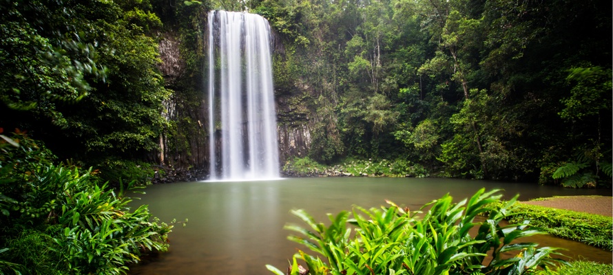 Millaa Millaa Vandfald i Atherton Tablelands i Queensland