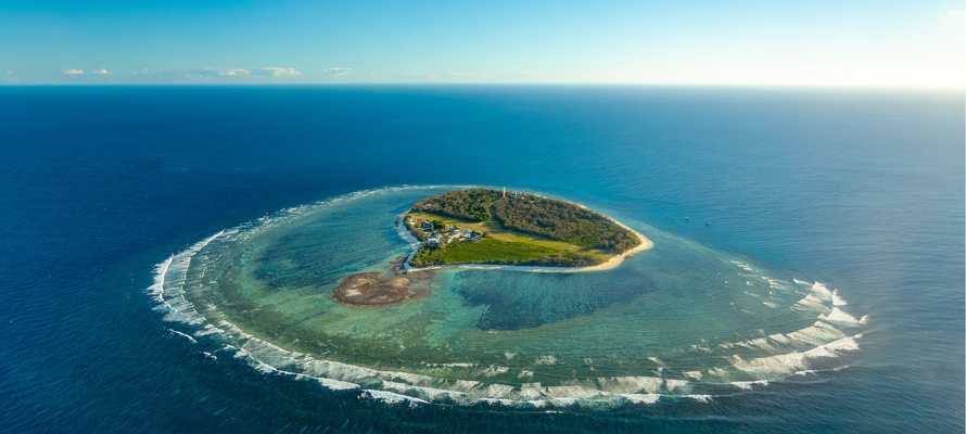 Koraløen Lady elliot Island i Queensland Australien