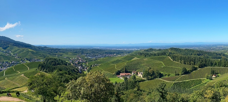 Badische Weinstrasse nær Schwarzwald i det sydlige Tyskland