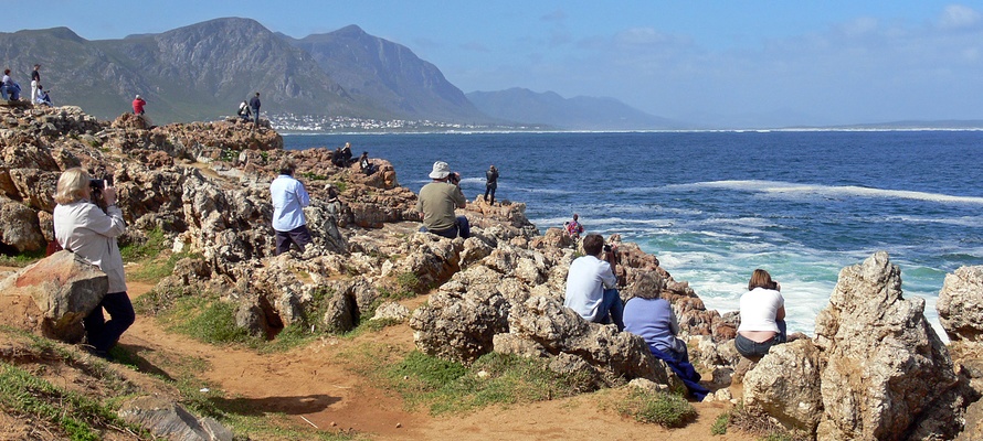 Hermanus i Sydafrika