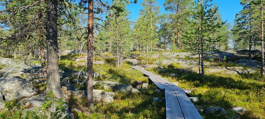 Lapland - desiree-krennrich-vzWYfNGpUfc-unsplash