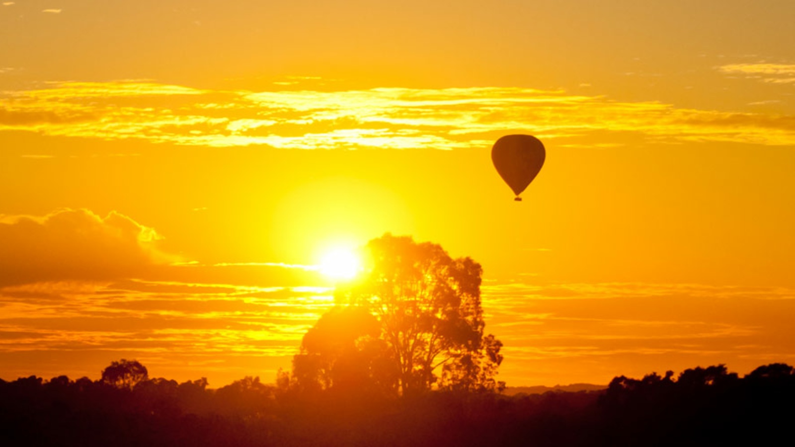Beyond Ballooning_Hunter Valley_sunrise.jpg