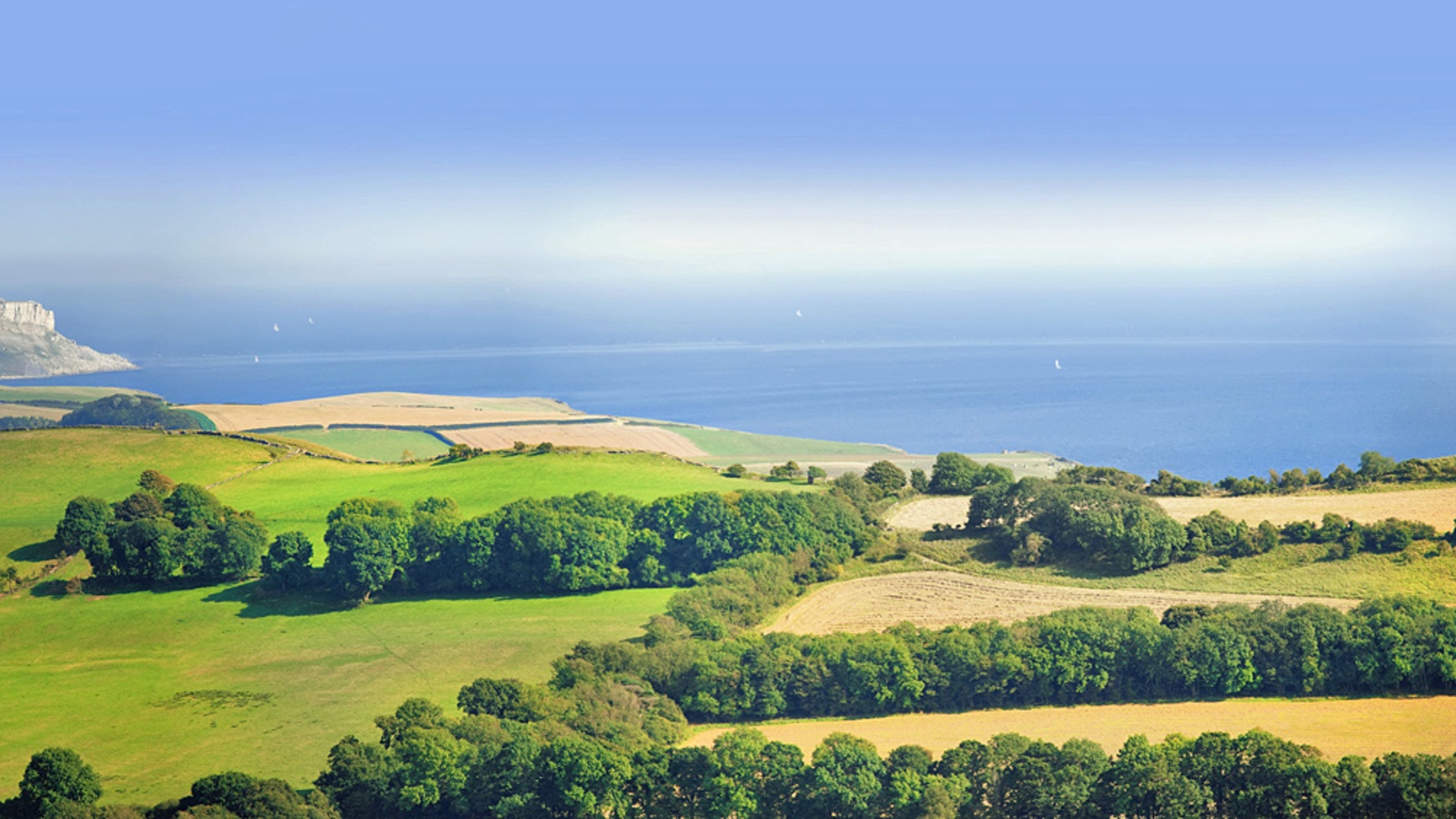 Marker og landskabet i Dorset, England