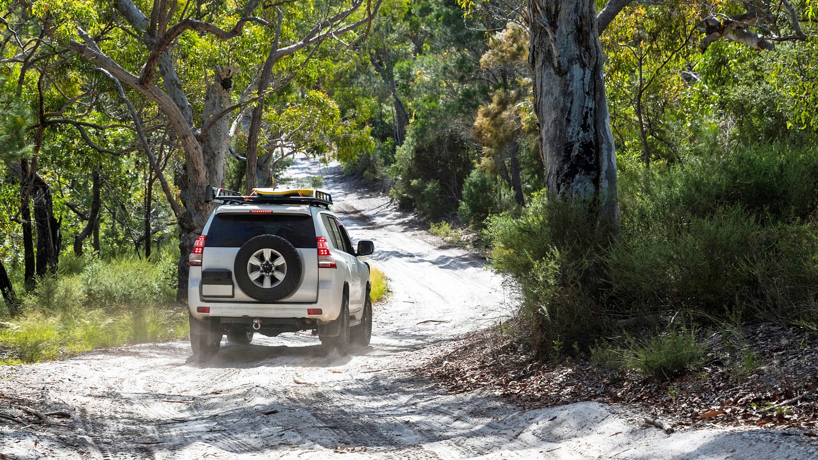 Fraser Island - 4WD full day tour - Queensland i Australien