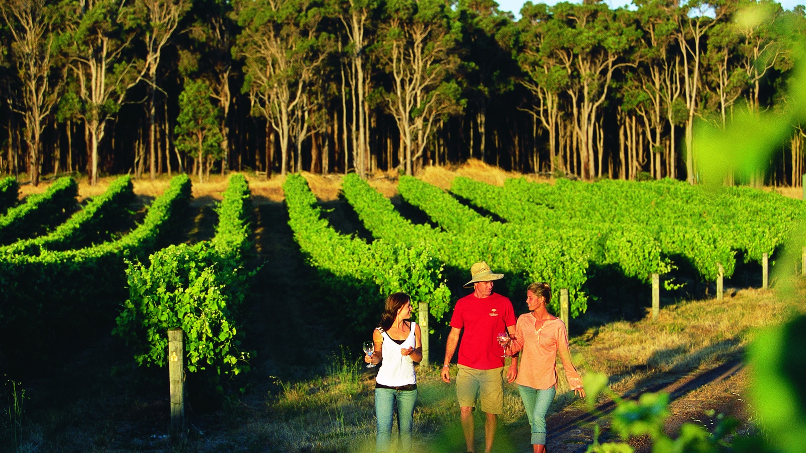 MargaretRiverVin.jpg MargaretRiverVin.jpg