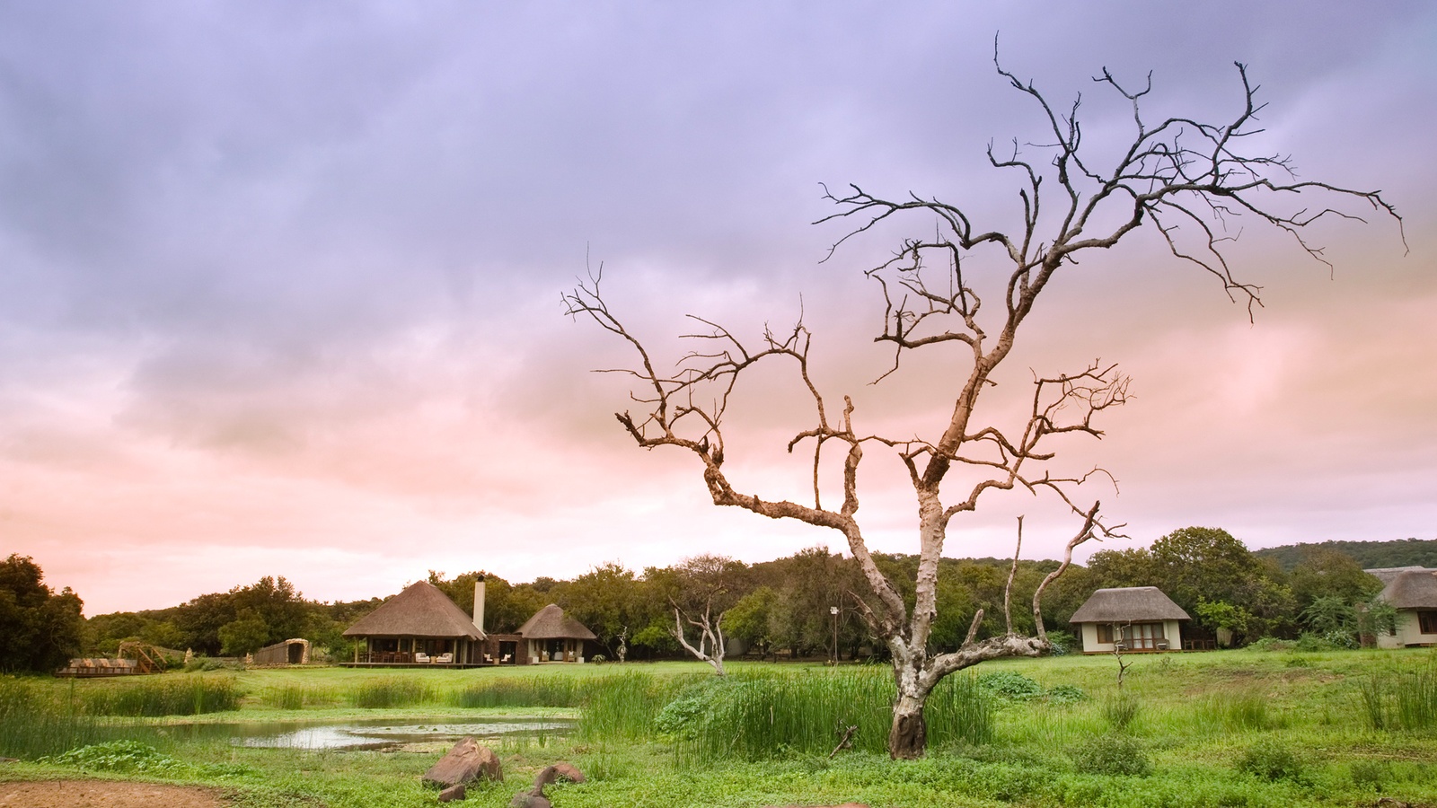 Sydafrika_Phinda_Zuka_Lodge_Hytter_14.jpg Sydafrika_Phinda_Zuka_Lodge_Hytter_14.jpg