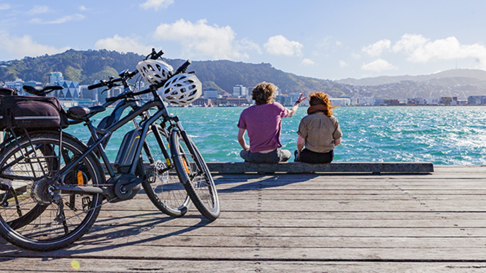 Wellington-electric-bike-hire-guided-wellington-tours-21.jpg Wellington-electric-bike-hire-guided-wellington-tours-21.jpg