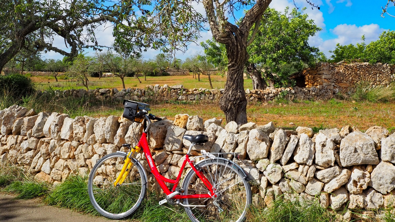 eurobike-radreise-mallorca-ostkueste-radweg-rad-1.jpg