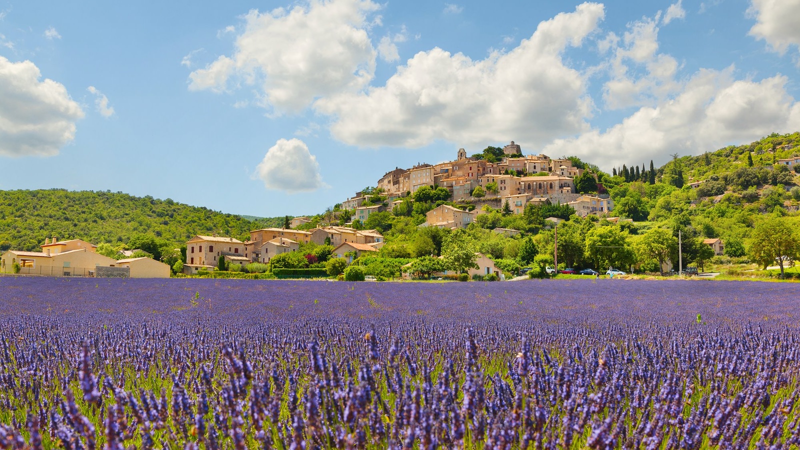 16_HI_Provence_3.jpg