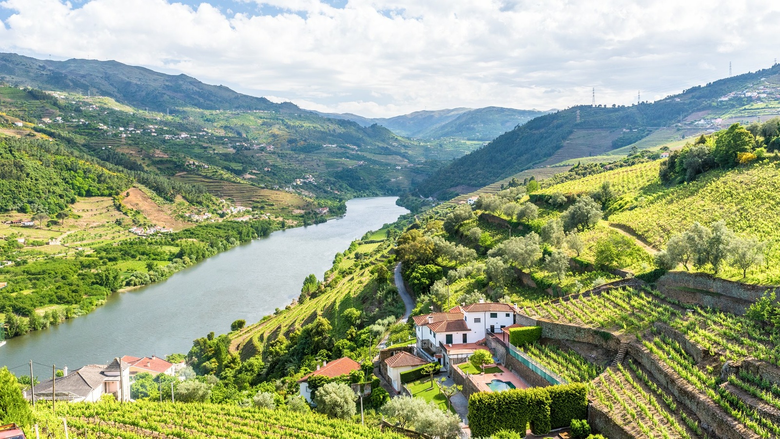 Douro floden og vinterrasser i det nordlige Portugal Douro floden og vinterrasser i det nordlige Portugal