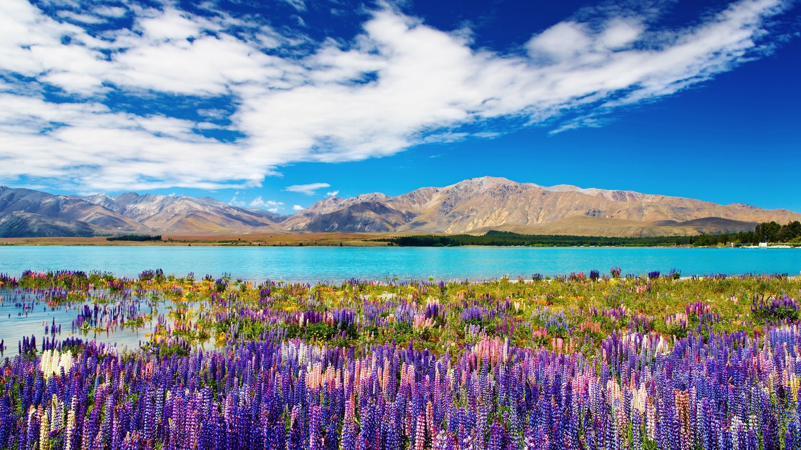 12_HI_NZ_Natur_1.jpg 12_HI_NZ_Natur_1.jpg